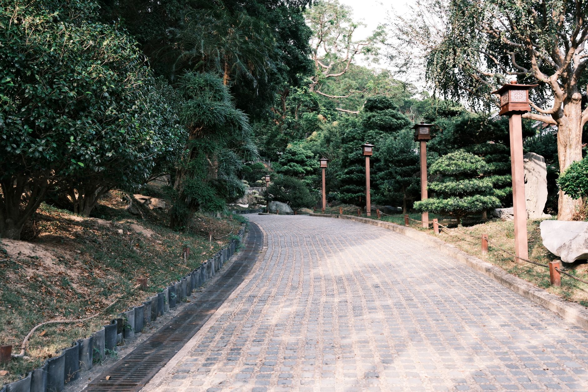 stays-hk 配图